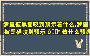 梦里被黑猫咬到预示着什么,梦里被黑猫咬到预示 💮 着什么预兆